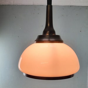 Unique Vintage Pendant Lamp Rio Tin Tiel mushroom image 1