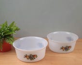 Set van 2 Ovenschalen 22 cml Arcopal Fruit de France vintage