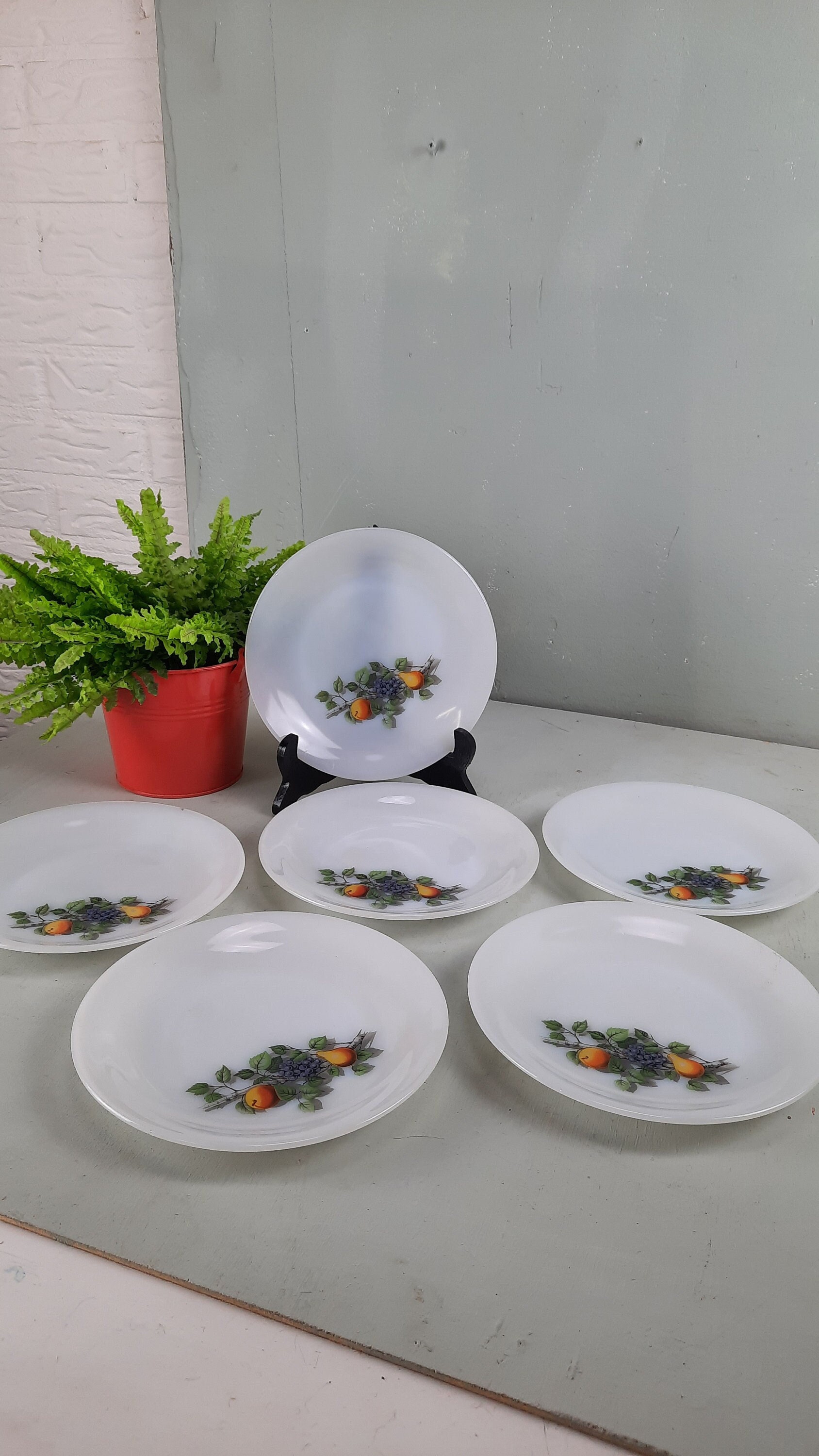 6 assiettes plates Arcopal Décor Fruits de France Vintage