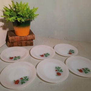 Set van 6 Arcopal Rose Ontbijtborden 19 cm