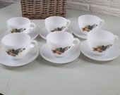 Zeldzame set van 6 Arcopal Koffie/thee kop en schotels vintage