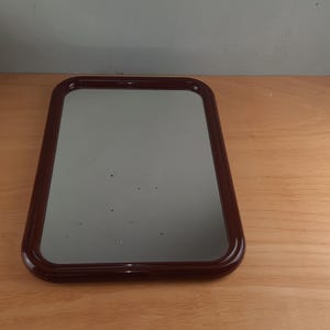Unique retro brown Tiger Mirror Rectangle vintage