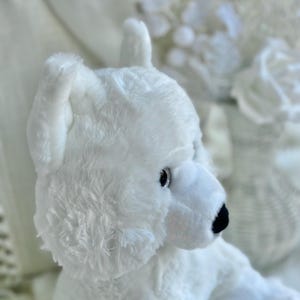 K&ouml;nnte beinhalten: Ein wei&szlig;er Pl&uuml;sch-Eisb&auml;r mit schwarzer Nase und kleinen schwarzen Augen. Der B&auml;r hat weiches, flauschiges Fell und sitzt auf einer wei&szlig;en Oberfl&auml;che. Die Ohren des B&auml;ren sind aufrecht, und sein Gesicht ist zur Seite gedreht.