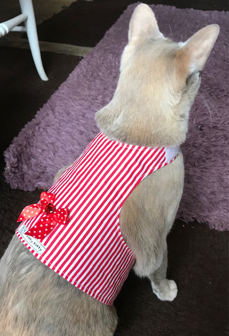 Anxiety / Calming Vest for Cats Suffering With Stress Etsy