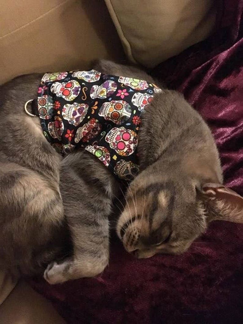 Anxiety / Calming Vest for Cats Suffering With Stress Etsy