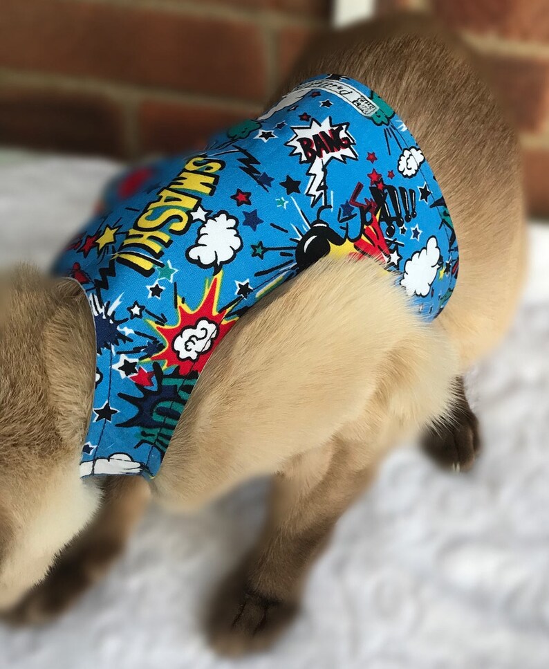 Anxiety / Calming Vest for Cats Suffering With Stress Etsy