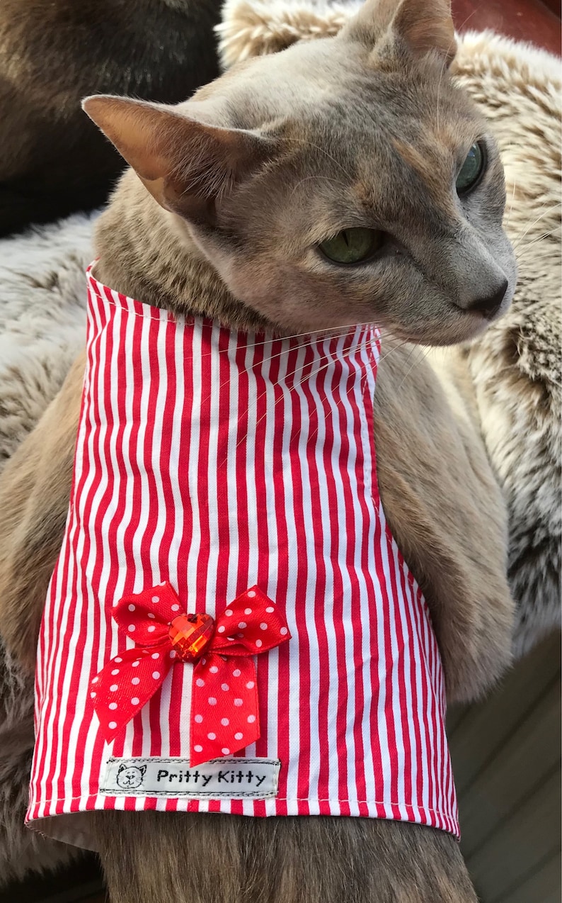 Cat Anxiety Vest
 Anxiety Calming Vest for Cats Suffering With Stress Etsy