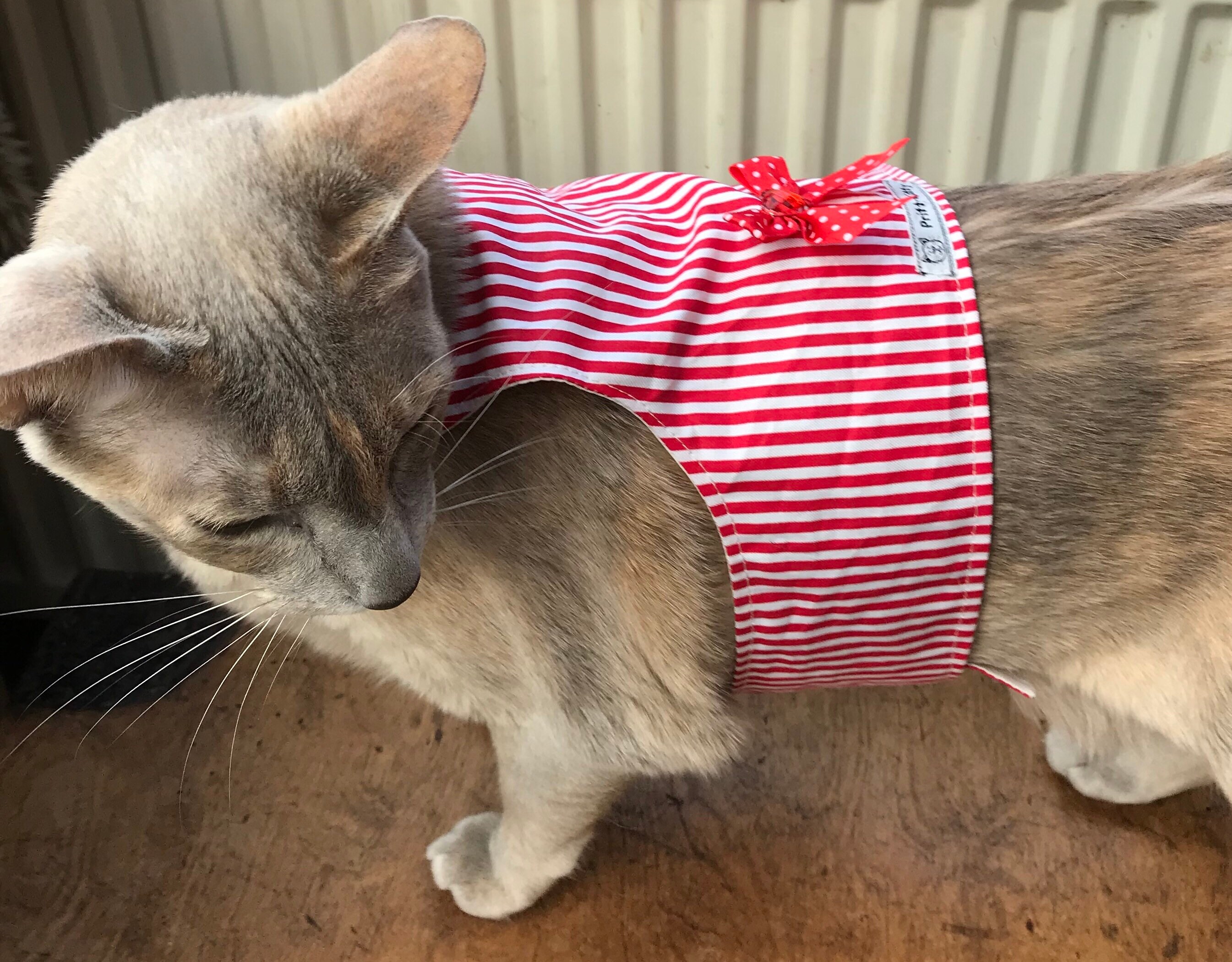 Cat Anxiety Vest
 Anxiety calming vest for cats suffering with stress
