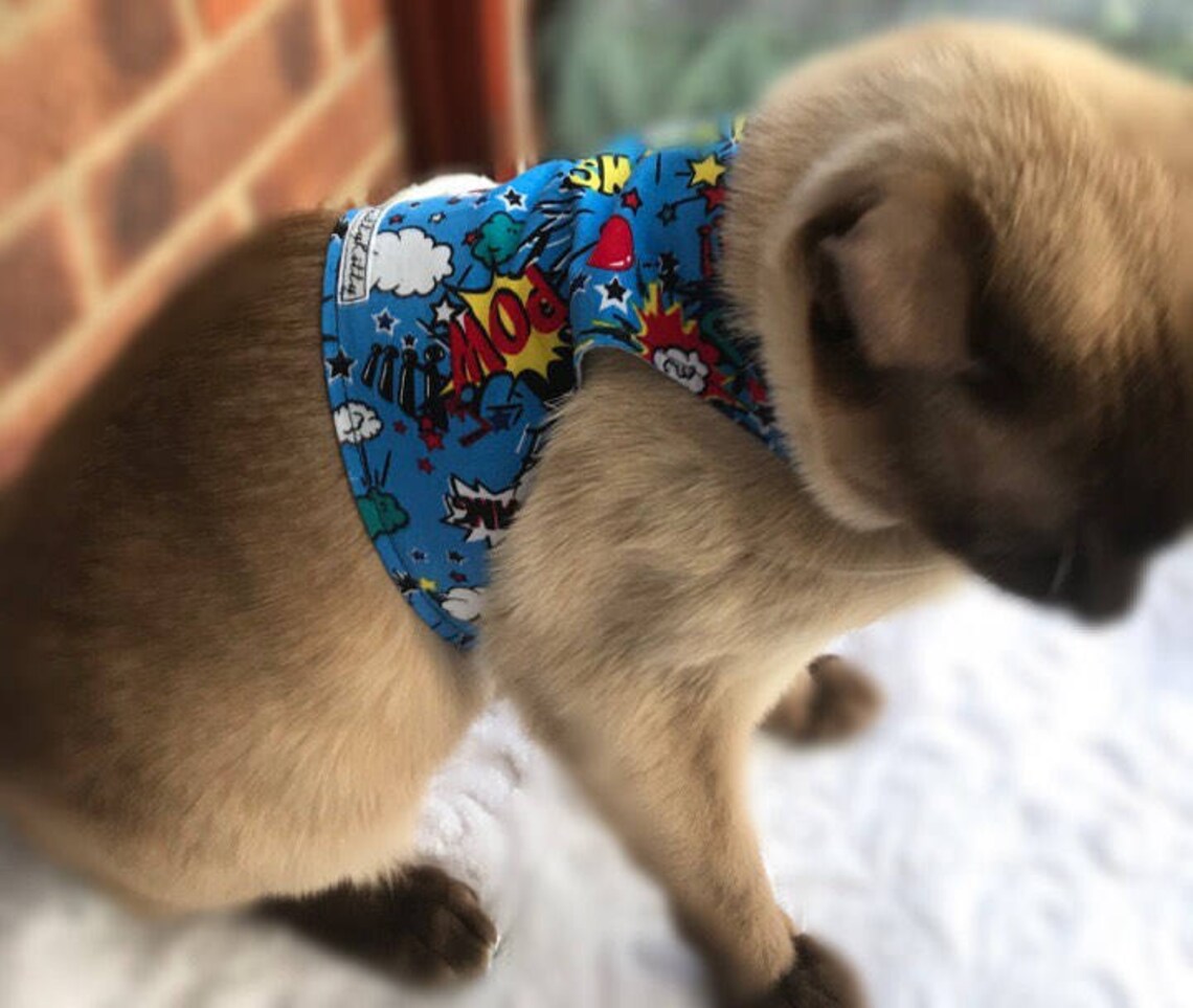 Anxiety / calming vest for cats suffering with stress Etsy