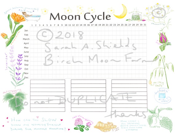 Womens Cycle Chart