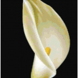 Calla Lily Cross Stitch Pattern