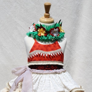 Déguisement Moana pour fille, tenue pour bébé Moana, robe en tulle pour bébé, robe de conte de fées, tenue d'anniversaire pour gâteau, couronne de fleurs image 2