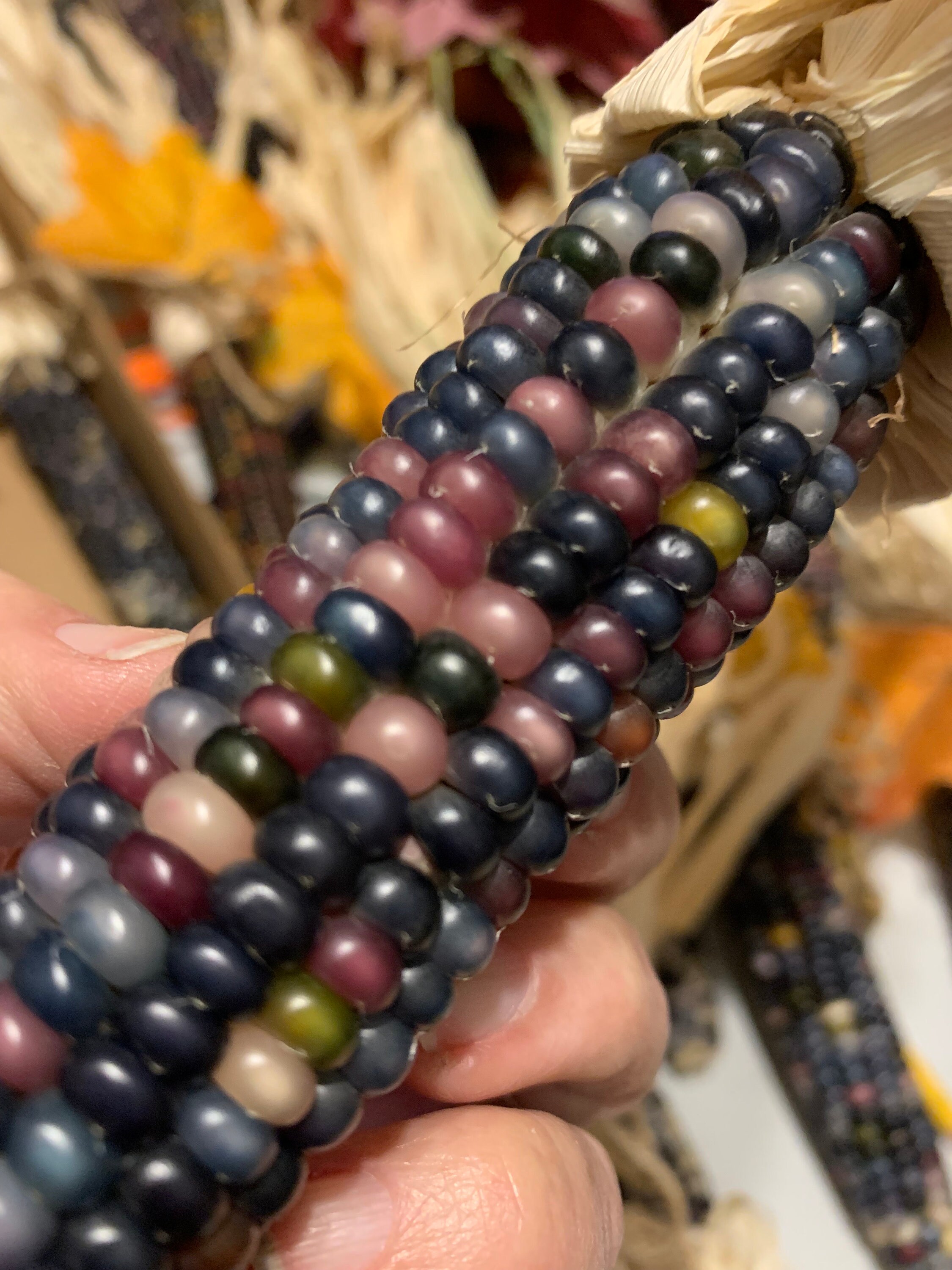 Glass Gem Indian Corn With Husks Shades of Dark Blue Light Etsy