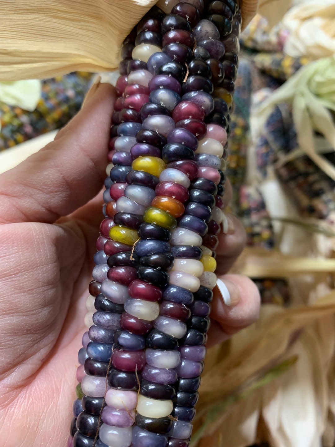 Glass Gem Indian Corn With Husks Shades of Gold Green Blue Etsy