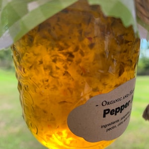 Homemade Pepper Jelly by Lolli and The Little Wooden Spoon