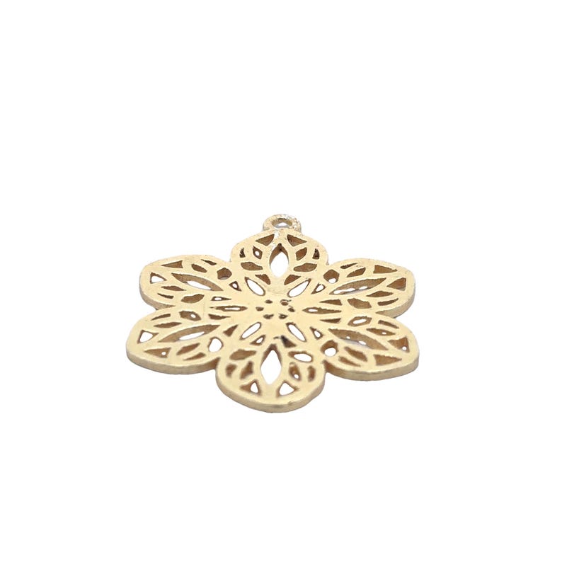 Gold Finish And Silver Plated Charm E-coated, Brushed Finish, Components "36x30". image 1