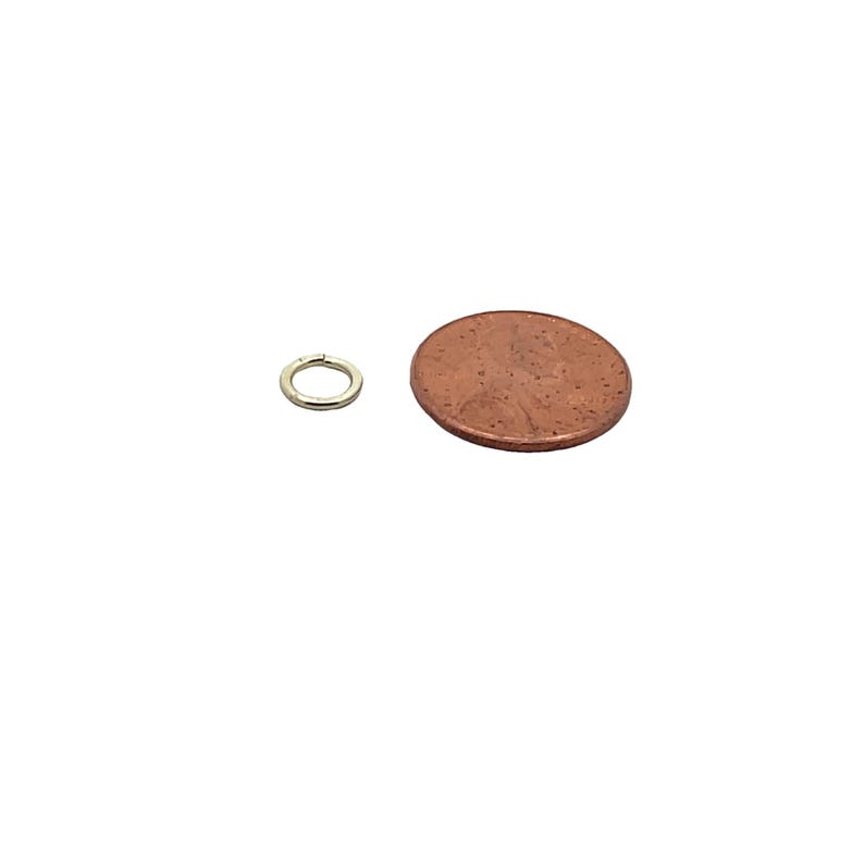 May include: A small, gold-colored jump ring, about the size of a US penny.