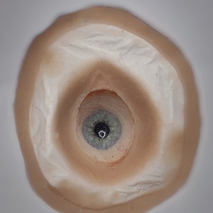 May include: A close-up of a realistic prosthetic eye with a green iris and a black pupil. The eye is set in a flesh-toned mold.