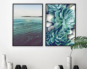 Coastal Succulent Photography Print Set, Beach Teal Decor (Digital Download)
