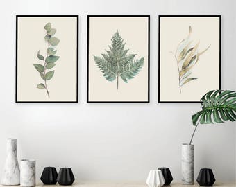 Digital Downloads, Botanical poster printable, Botanical print set, Botanical prints, Set of 3 prints, Australian botanical prints, Posters