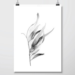 Set of 3 Black and White Botanical Downloadable Prints Printable Art ...