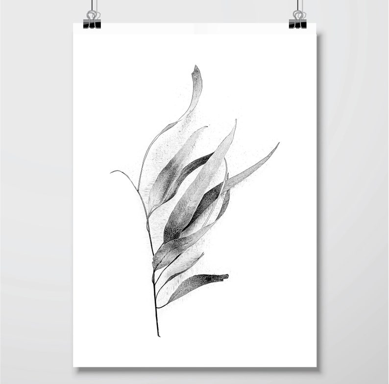 Set of 3 black and white botanical downloadable prints Printable art set digital illustration Australian gum leaves Fern wall art Monochrome image 9