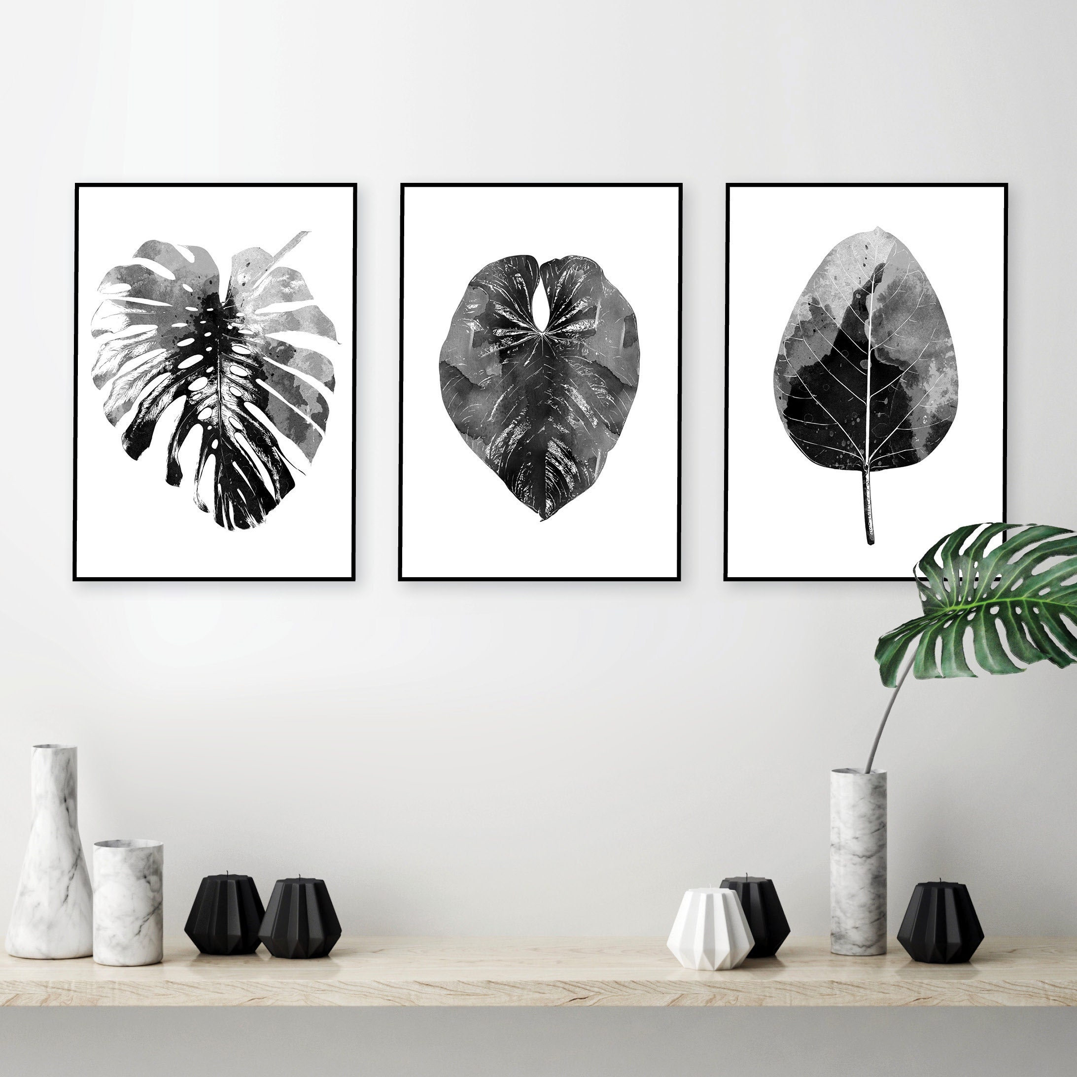 Downloadable black white botanical leaf prints Printable monochrome art set 3 leaves monstera Minimalist Scandi modern poster wall decor A3