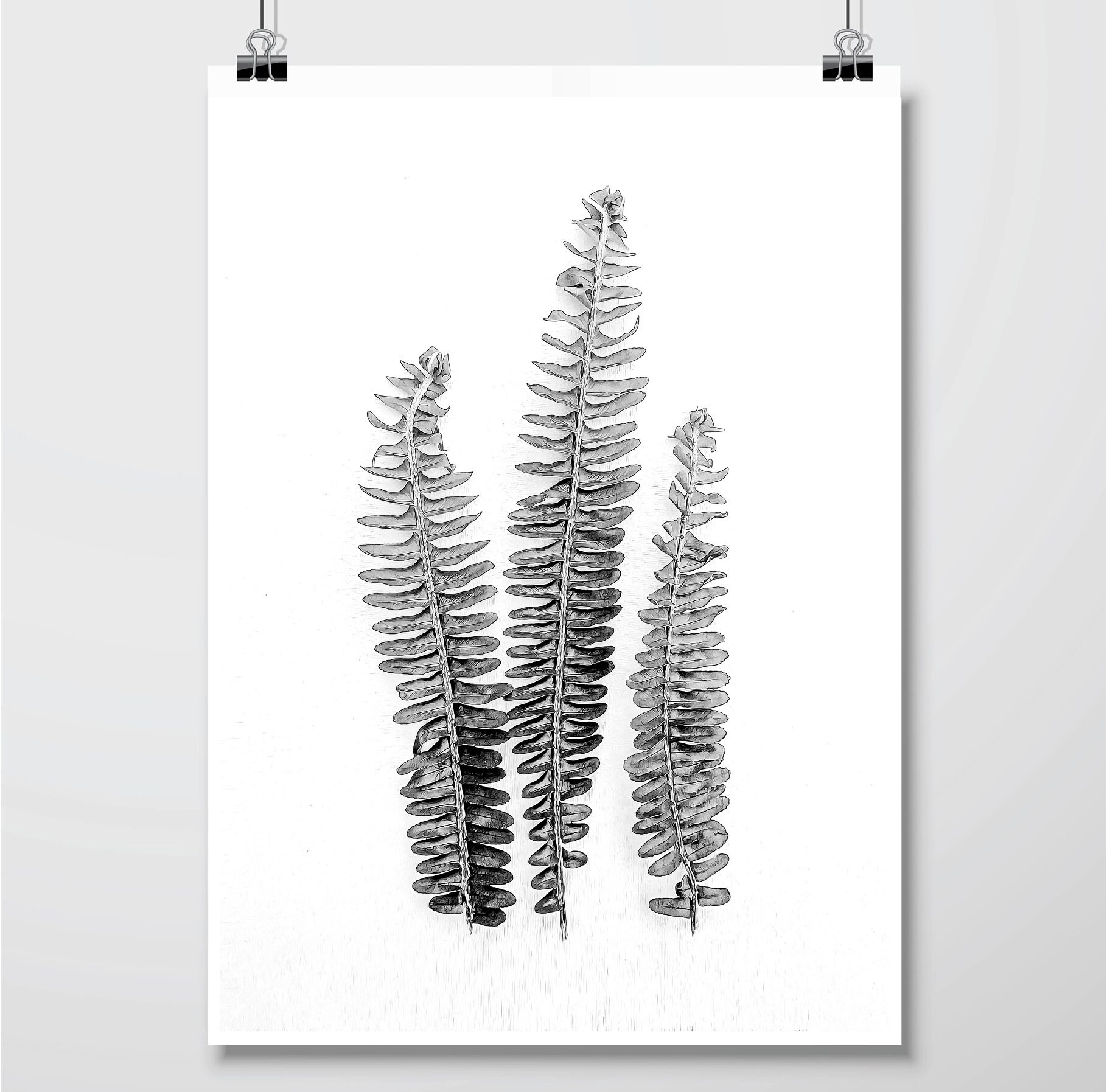 Downloadable Prints Printable Set of 3 Prints Botanical | Etsy