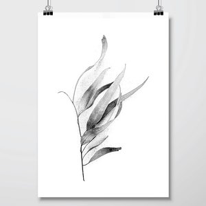 Downloadable set of 3 botanical prints black white monochrome Printable art Australian gum leaves fern fronds Print set Wall art Wall Decor image 9