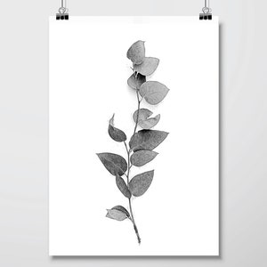 Set of 3 black and white botanical downloadable prints Printable art set digital illustration Australian gum leaves Fern wall art Monochrome image 10