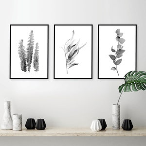 Set of 3 black and white botanical downloadable prints Printable art set digital illustration Australian gum leaves Fern wall art Monochrome image 1