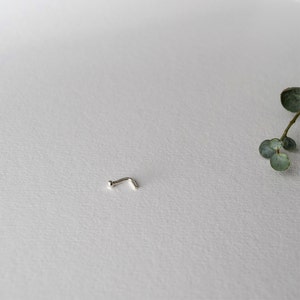 May include: A silver nose ring with a small ball at the end.
