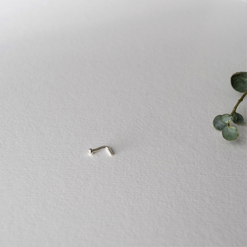 May include: A silver nose ring with a small ball at the end.