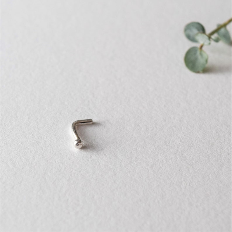 May include: A silver nose ring with a small ball at the end.