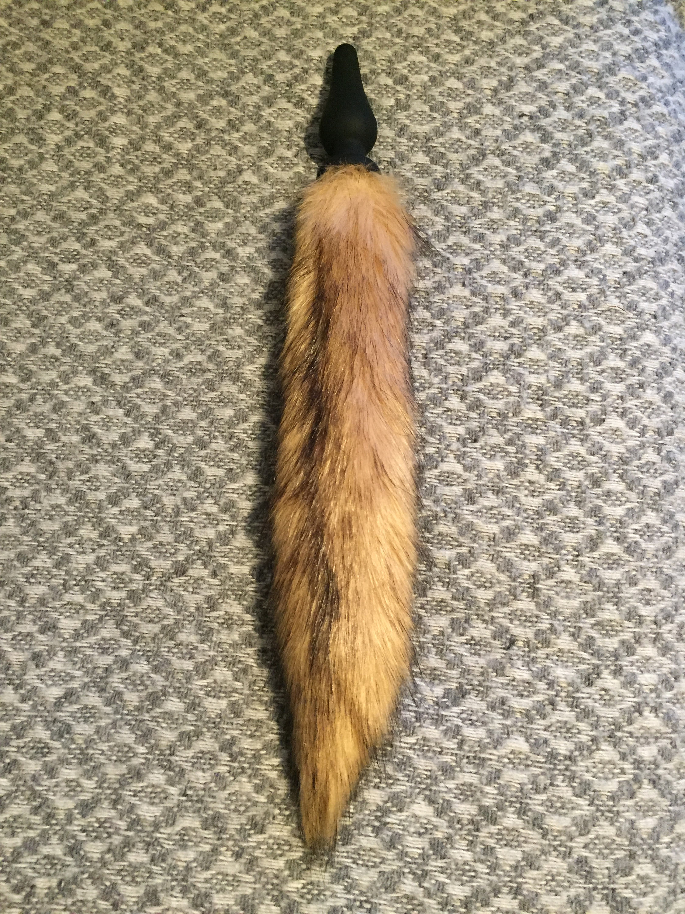 anal fox tail
