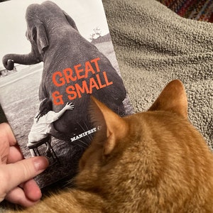 MANIFEST Zine #11: Great & Small