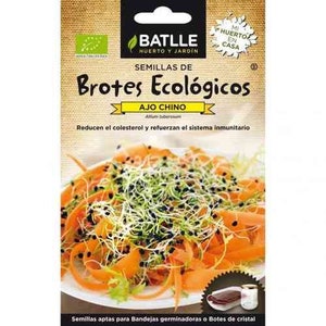 Semillas brotes germinados Ajo chino Ecològicas