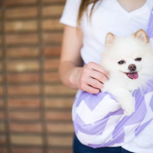 Puppy papoose online
