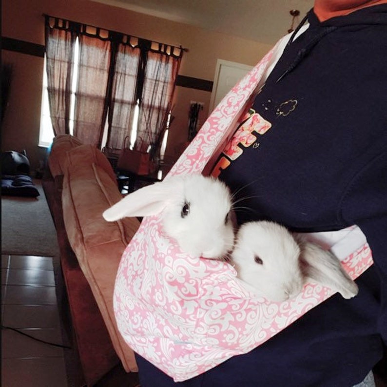 Bunny Sling Carrier Carry Your Rabbit Small Dog Cat or Etsy
