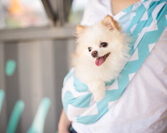 teacup puppy carrier