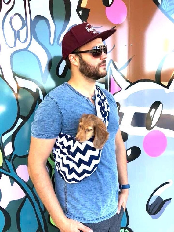 kitten carrying pouch