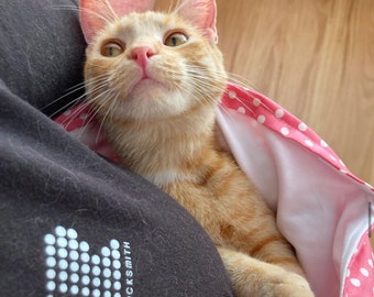 Cats Protection Bonded Cats For Adoption Near Me 55+ Thousand Cat