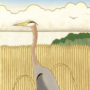 May include: A gray heron with a long neck and yellow beak stands in a shallow body of water. The heron is in front of a fence made of tall, thin, gold-colored reeds. The background is a blue sky with white clouds.