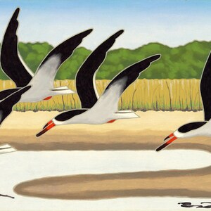 May include: Four black skimmers with long, red beaks fly over a shallow body of water. The birds are in flight, with their wings spread wide. The water is a light blue color, and the sky is a light blue color. The birds are flying over a sandy beach with green vegetation in the background.