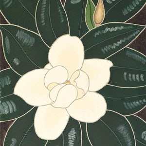 May include: A white magnolia flower with a yellow center, surrounded by dark green leaves. The flower is in full bloom and has a delicate, elegant appearance.