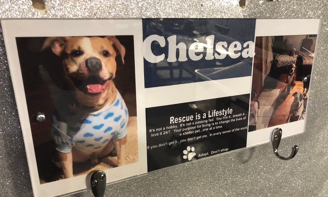 Custom Pet Sign - Dog Sign - Rescue Animal Decor - Dog Decor - Pet ...