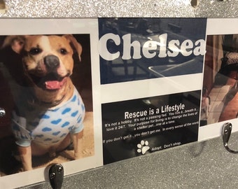 Custom pet sign - dog sign - rescue animal decor - dog decor - pet rescue decor - animal rescue - pet leash holder - pet signs - rescue dog
