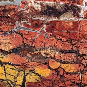 May include: Close-up of a red, orange, and yellow agate with black veins. The agate has a natural, polished finish.