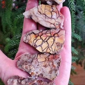 May include: Four irregular, flat stone slices featuring a cream and pale orange base color with a prominent network of dark brown, web-like veins running across the surface. The stones have a smooth, polished texture and varied shapes.