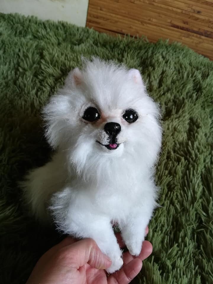 Pomeranian dog online shopping cheap